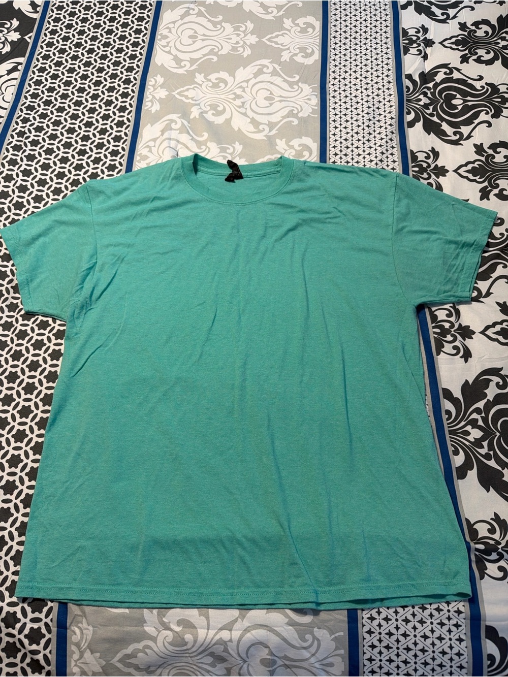 Hanes Men's Teal Short Sleeve Crew Neck T-Shirt